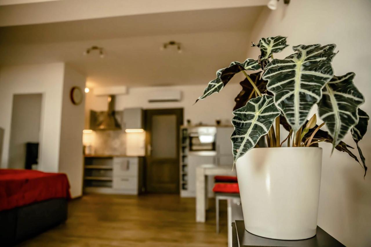 Apartamento Podkrovni Na Velkem Namesti S Wi-fi Zdarma Hradec Králové